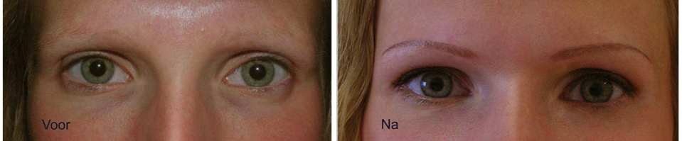 Super Powderbrows Permanente make up MICROBLADING 3D hairstroke of IT-78